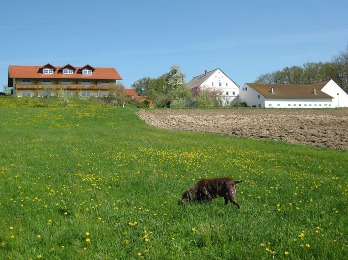 Exterior & Views 2, Comfortable Apartments in Rotthalmunster, Passau