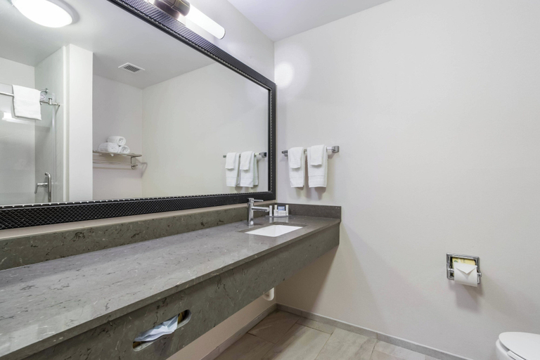 Bathroom, Fairfield Inn & Suites by Marriott Columbia, Boone