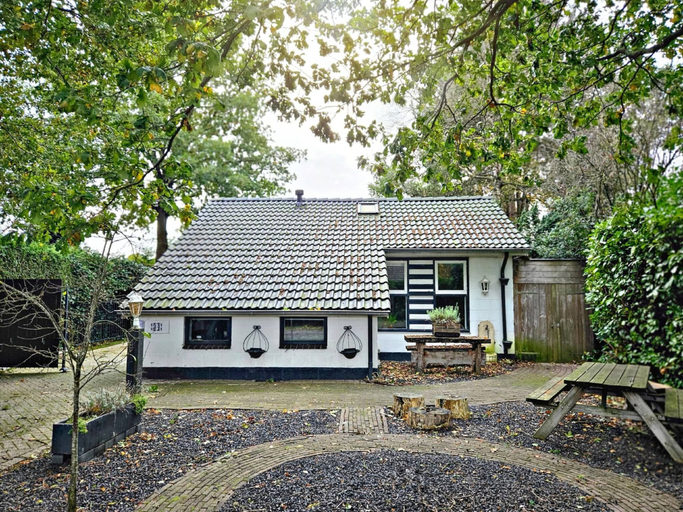 Primary image