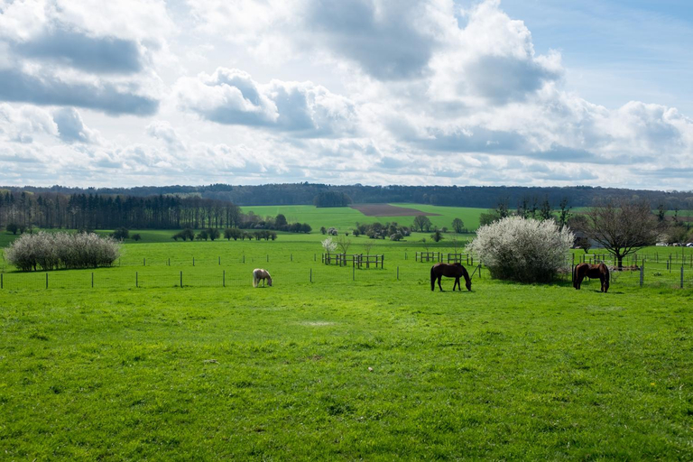 Others 4, Prim'tout, Namur