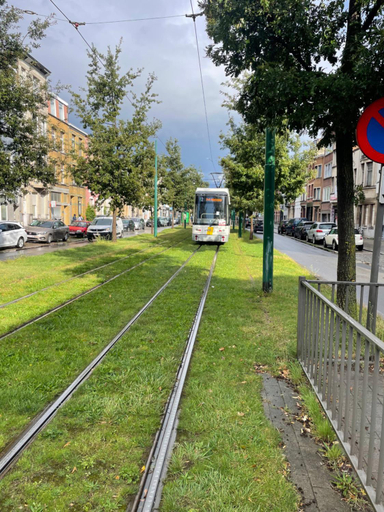 Others 3, Chez Auguy et Deborah, Antwerpen