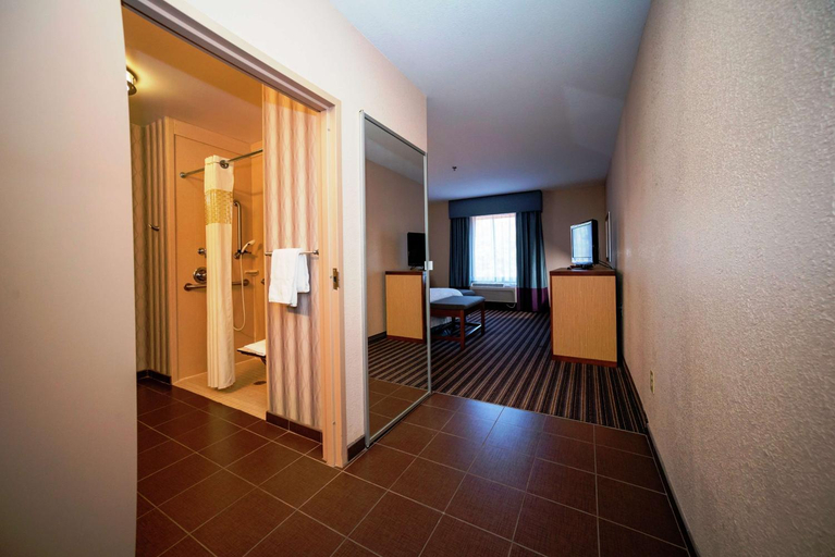 Bathroom 4, Hampton Inn Jackson/Flowood (Airport Area) MS , Rankin
