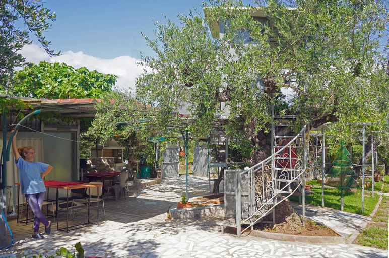 Others 5, VENI Olive House, Peloponnese