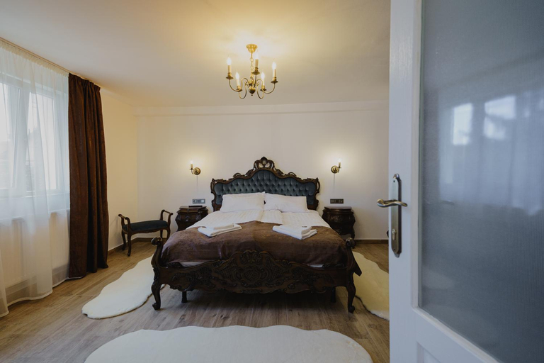 Others 5, CASA BARONULUI, Baia Mare