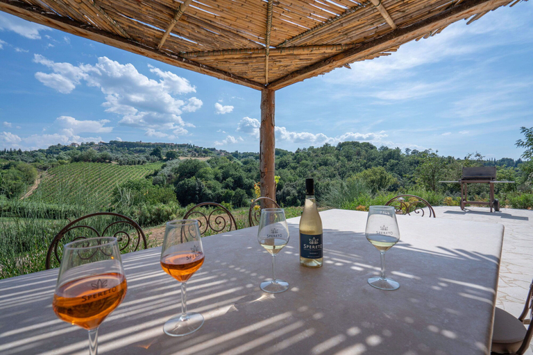 Food & Drinks, Correggiolo Romantic Apartment Pool Montaione Toscana, Florence