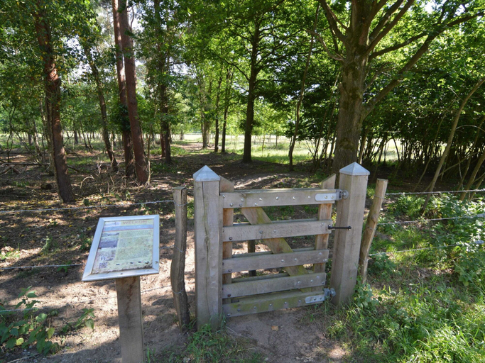 View from property 2, Completely Detached Bungalow in a Nature-filled Park by a Large fen, Weert