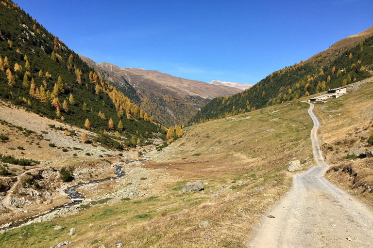 Room 4, Vetta in Livigno With 1 Bedrooms and 1 Bathrooms, Sondrio