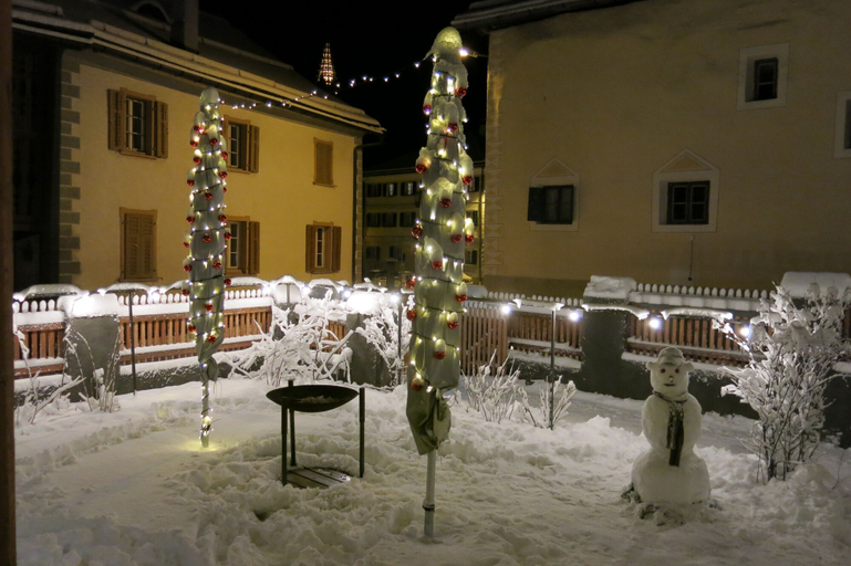 Exterior & Views 2, Pensiun Aldier, Inn