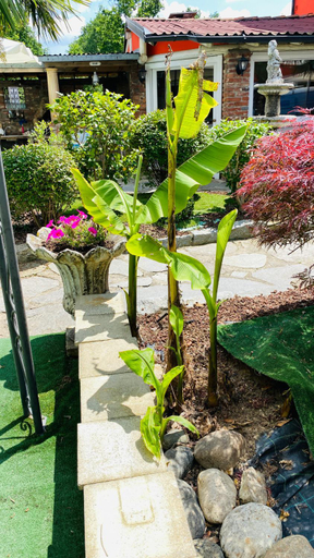 Others 4, B&B Villa Botto, Biella