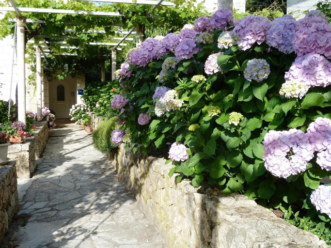 4, Nice Apartment & Room in Cavtat, Konavle