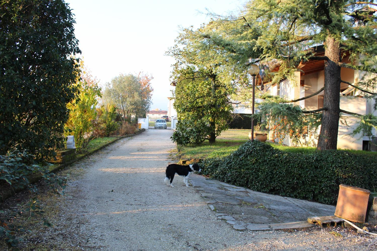 Others 4, B&B Nella Natura, Pordenone