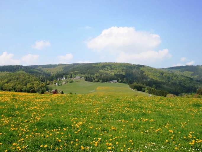 Others 5, Apartment in Willingen Near Ski Lift, Waldeck-Frankenberg