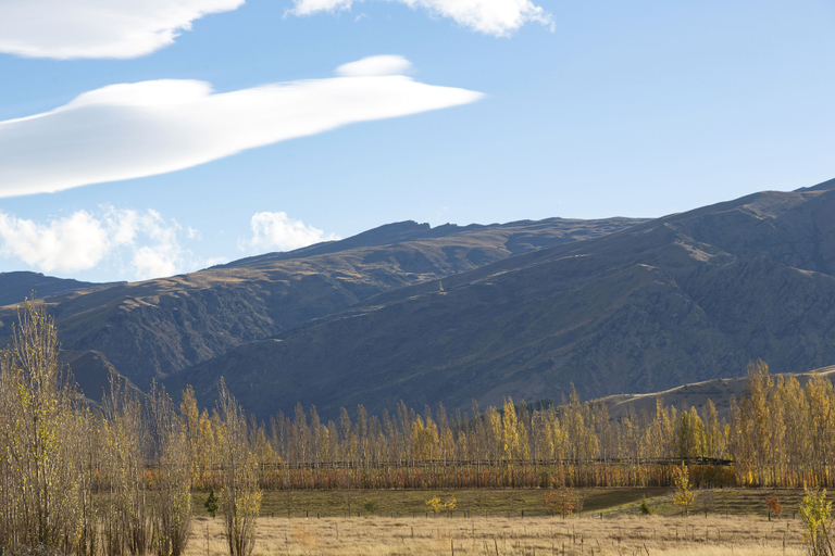 Others 5, Harvest Park Studios, Central Otago