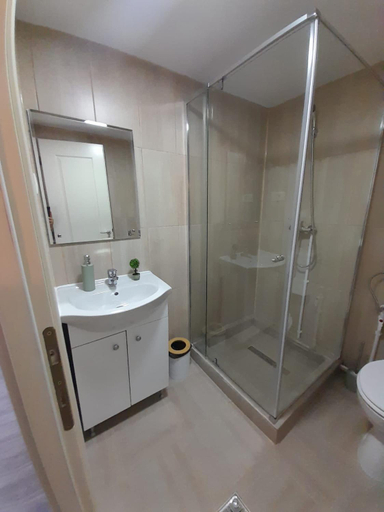 Bathroom 2, Pensiunea Albert, Harsova