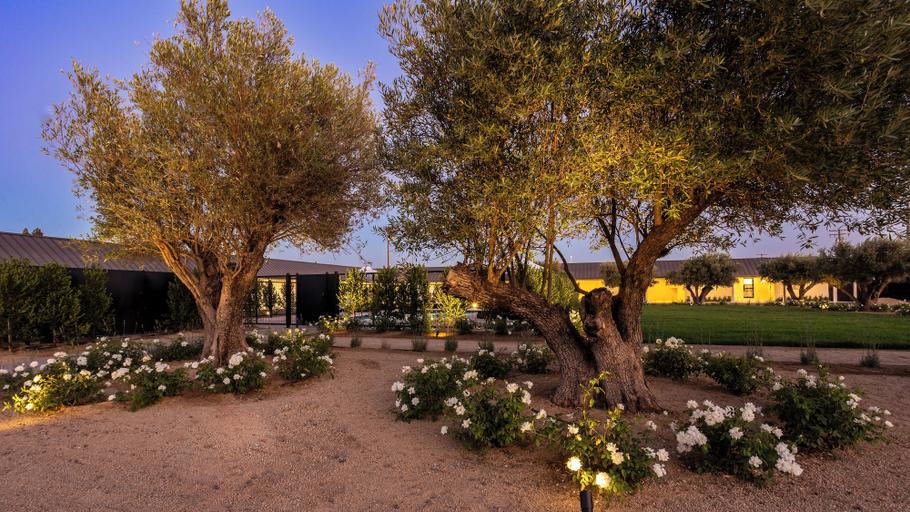 Exterior & Views 2, Hotel Bayit Modesto Salida, Stanislaus