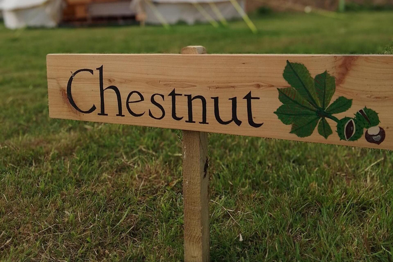 Miscellaneous 5, Chestnut 6m xl Bell Tent, Redcar and Cleveland