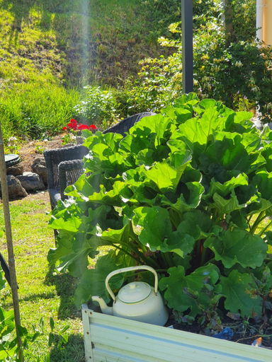 Others 5, Kerikeri Blue Chair B&B, Far North