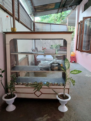 Others 5, ECO HOMESTAY, Dibrugarh