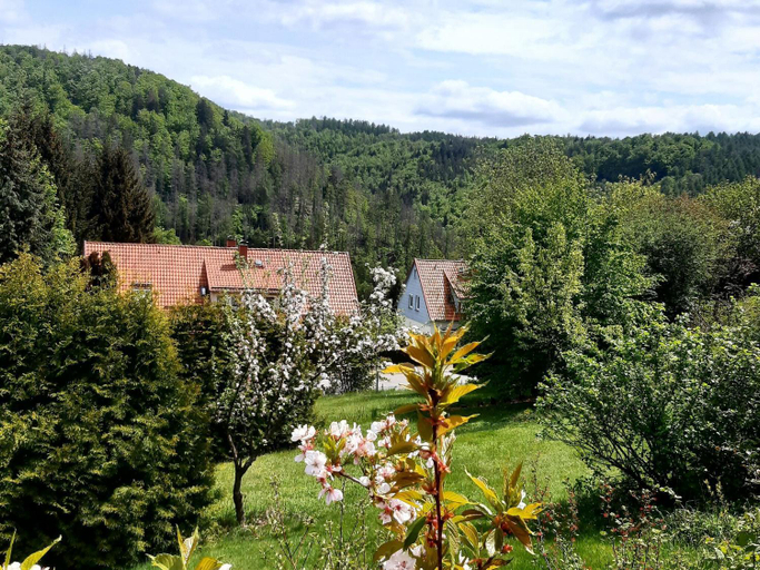 Others 4, Ferienhaus im Harz mit Wanderwegen, Osterode am Harz