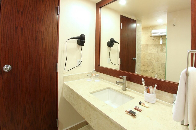 Bathroom 5, Hotel Opus Grand Toluca Aeropuerto, Temoaya