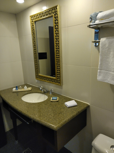Bathroom 5, Hotel Los Cedros Inn, Casas Grandes