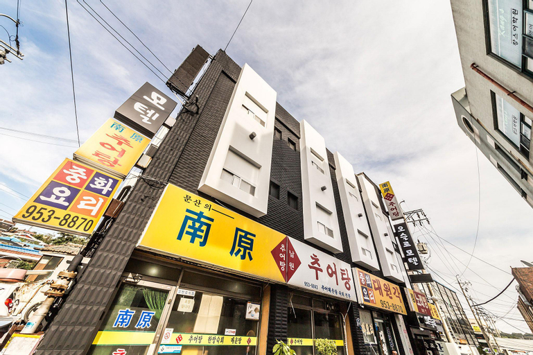 Paju Munsan Oslo, Paju