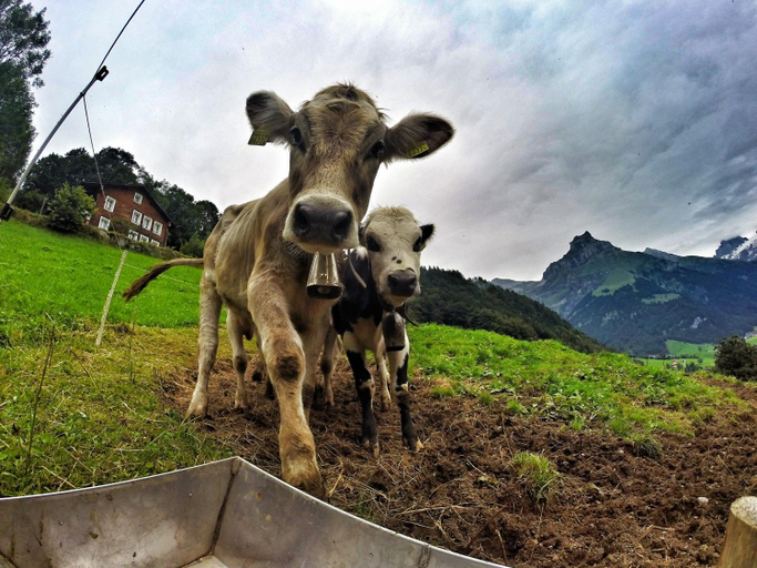 Others 5, Hostel Engelberg "mein Trail Hostel", Obwalden