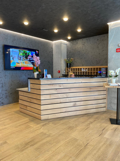 Public Area, Hotel Ivana, Venezia