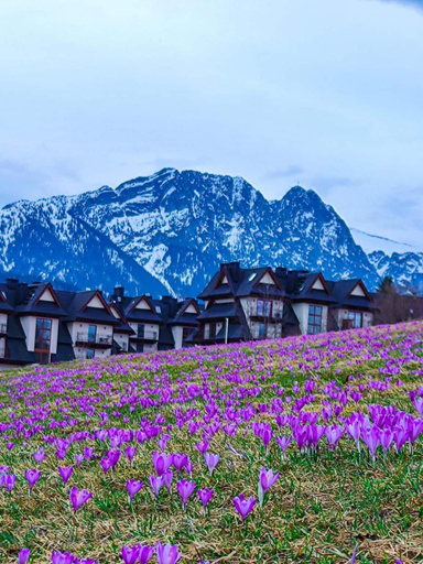 Others 4, Apartamenty Gorskie Zacisze, Tatra