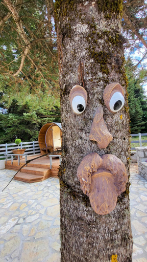 Others 5, Casa de Madera, Central Greece