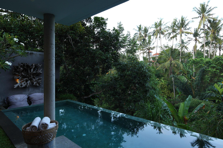Swimming Pool 15