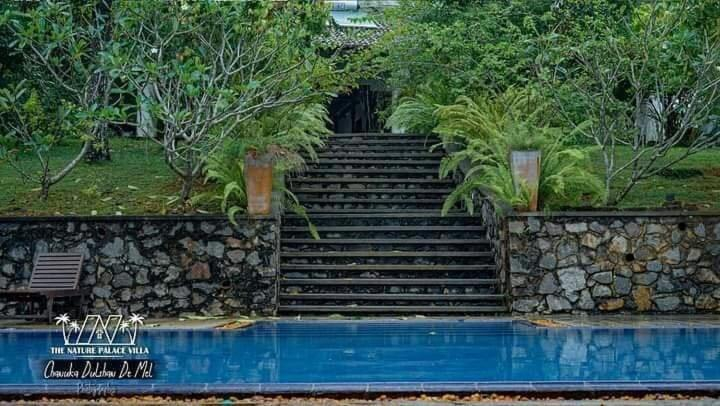 Garden 3, New Nature Palace Villa, Karandeniya
