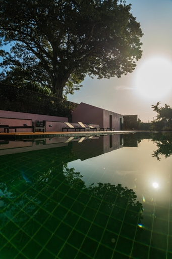 Sport & Beauty 3, Solar Dos Cantos Botanic House And Garden, Ponta Delgada