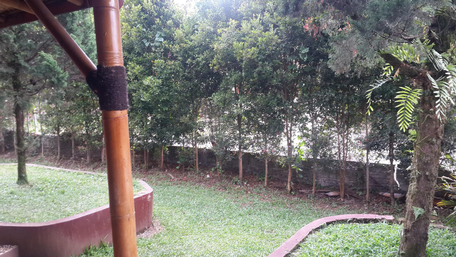 Scenery 4