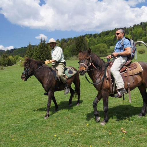 Others 5, Penzion Zbojnicky Halas, Rimavská Sobota