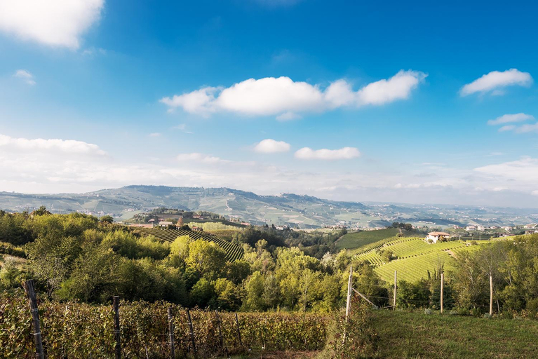 Others 3, I Ciabot di Monforte, Cuneo
