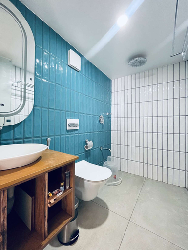 Bathroom, Willmount Geodesic Domes Vagamon, Idukki