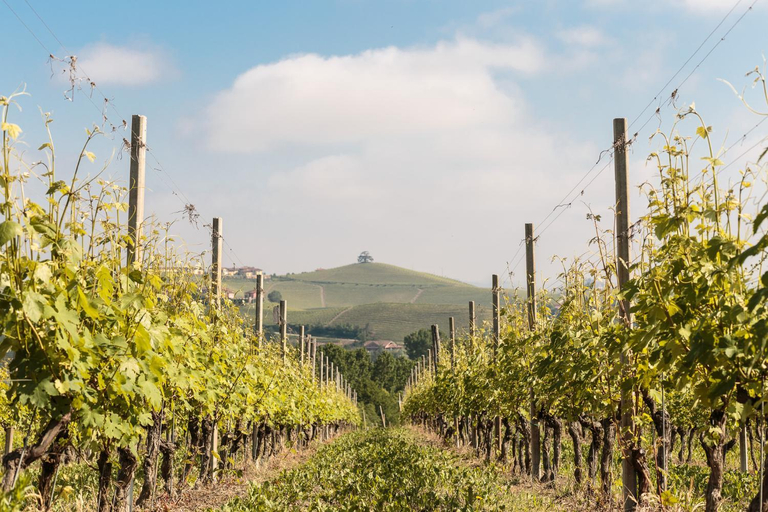 Others 4, Cascina Pugnane, Cuneo