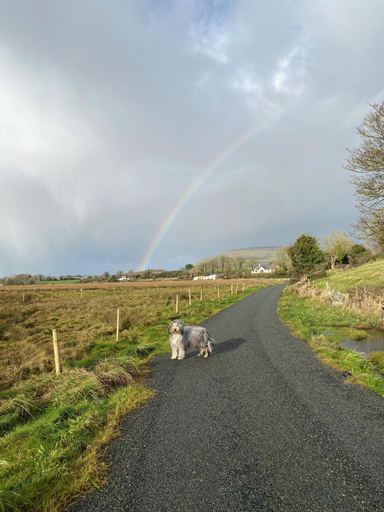 Others 3, Coastal Living Wild Atlantic Way - near Strandhill
