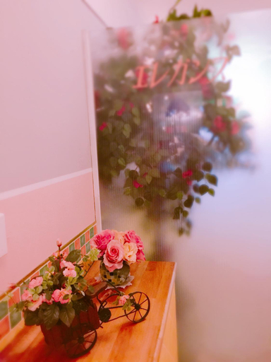 Others 5, Hotel Elegance (Love Hotel), Karatsu
