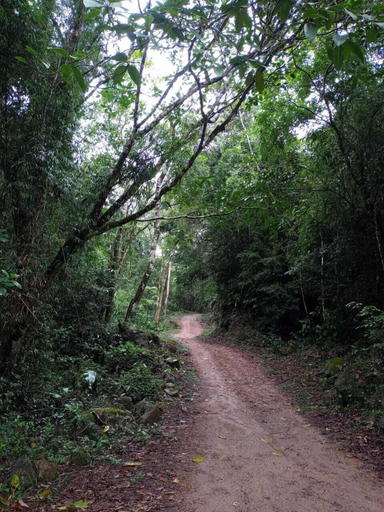 Others 5, Sítio Toca da Aldeia, Nova Friburgo