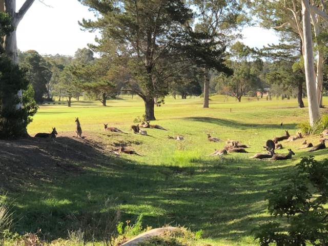 Others 2, Golf View Motel, Shoalhaven - Pt B
