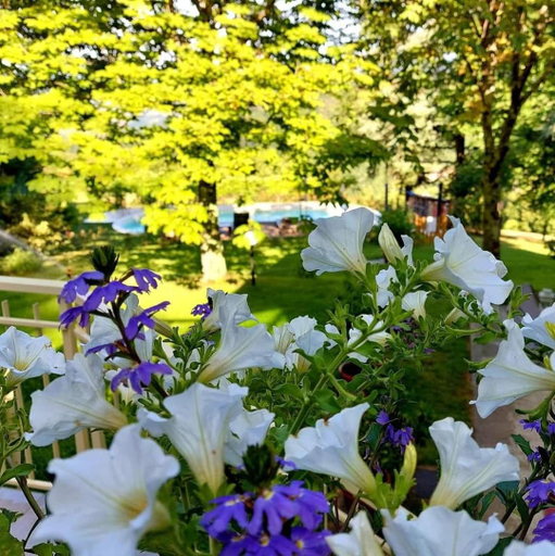 Others 1, Villa Giuliana B&B, Florence