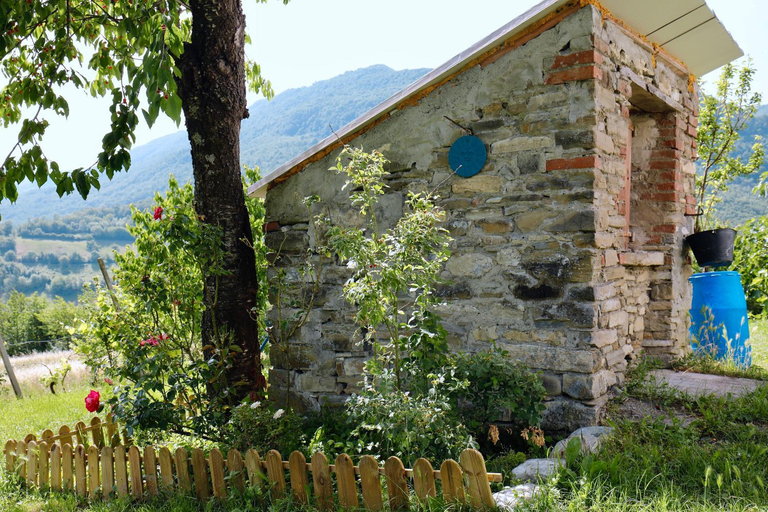 Others 5, B&b Boblin blu, Piacenza