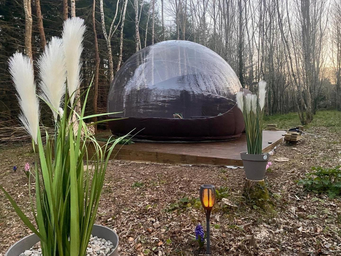 Others 5, Logement insolite "Bubble jungle", Finistère