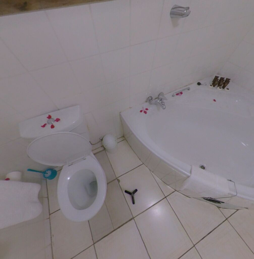 Bathroom 3, Big 5 Toro Lodge, Chobe