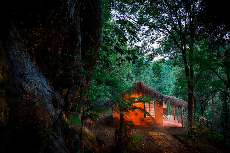 Exterior & Views 1, Golden Fern Resort, Idukki