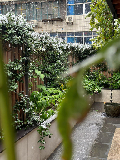 Others 3, Hantang Inn, Xi'an