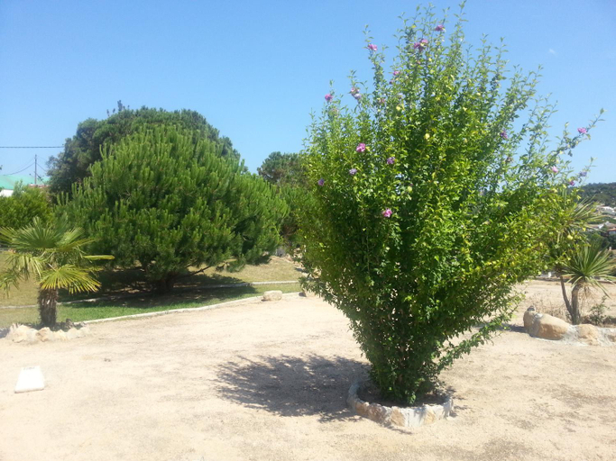 Others 3, Hostal Los Pinares, Girona