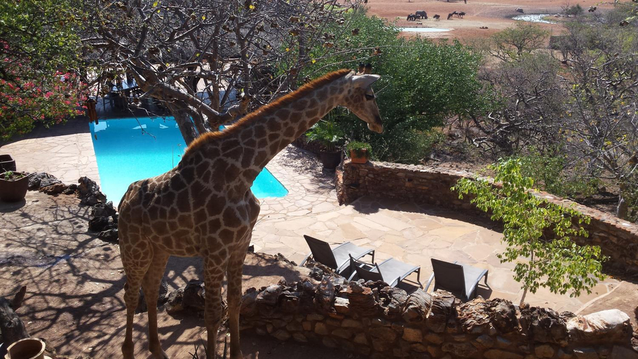 Others 4, Okutala Etosha Lodge, Kamanjab